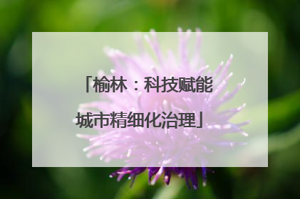 榆林：科技赋能城市精细化治理